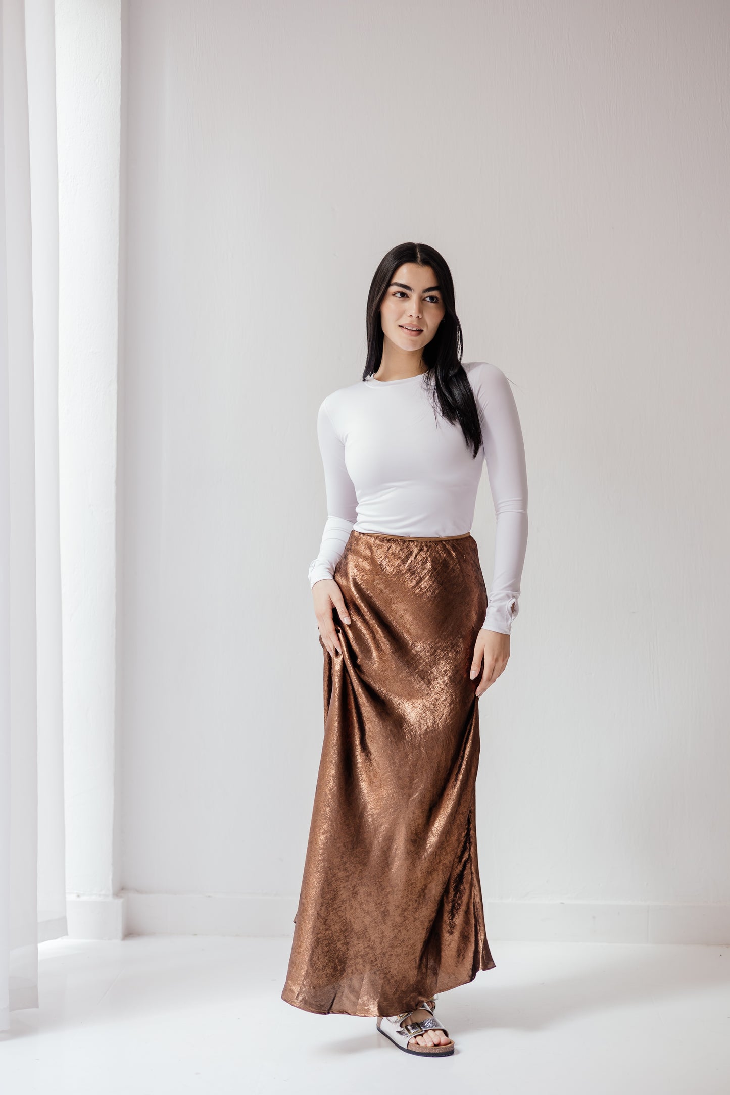 Shimmery Skirt in Brown
