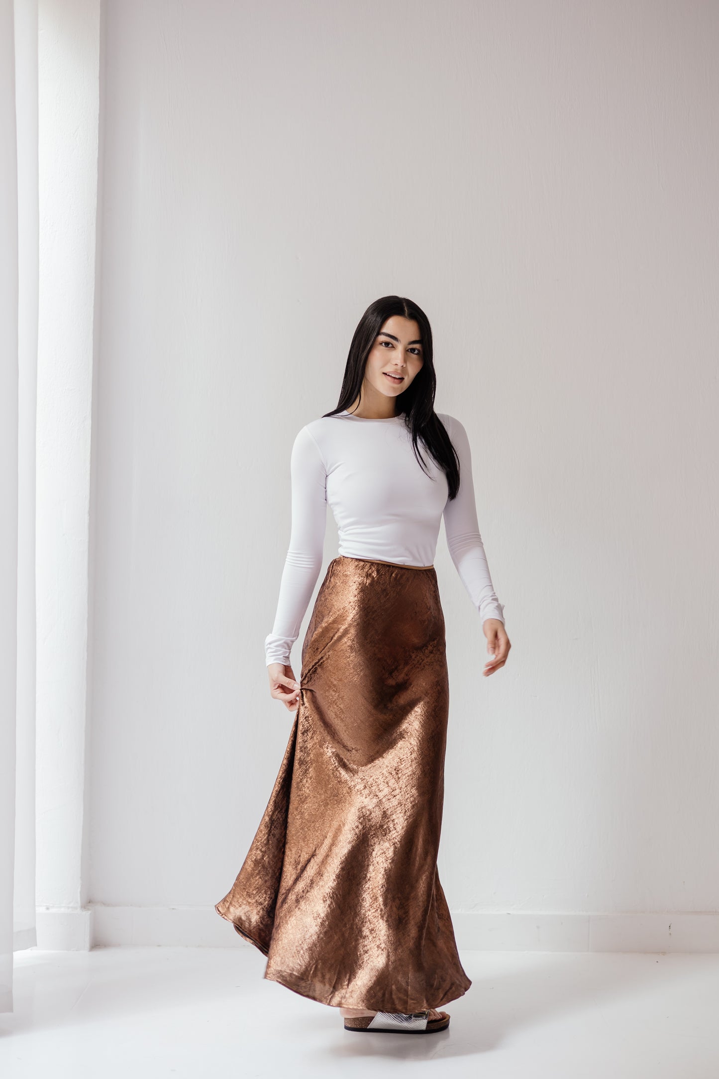 Shimmery Skirt in Brown