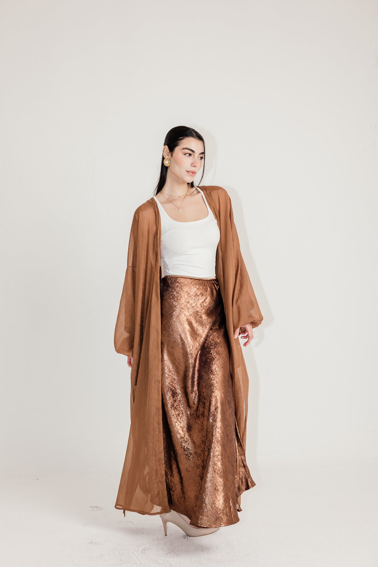 Shimmery Skirt in Brown