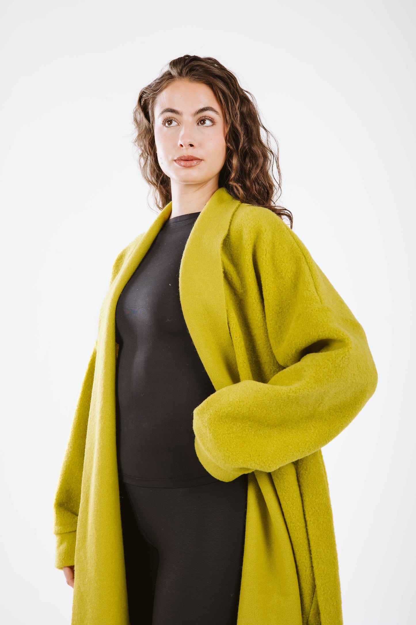 Wrapped in Warmth Fur Coat - Lime