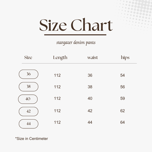 Stargazer Denim Pants in Blue