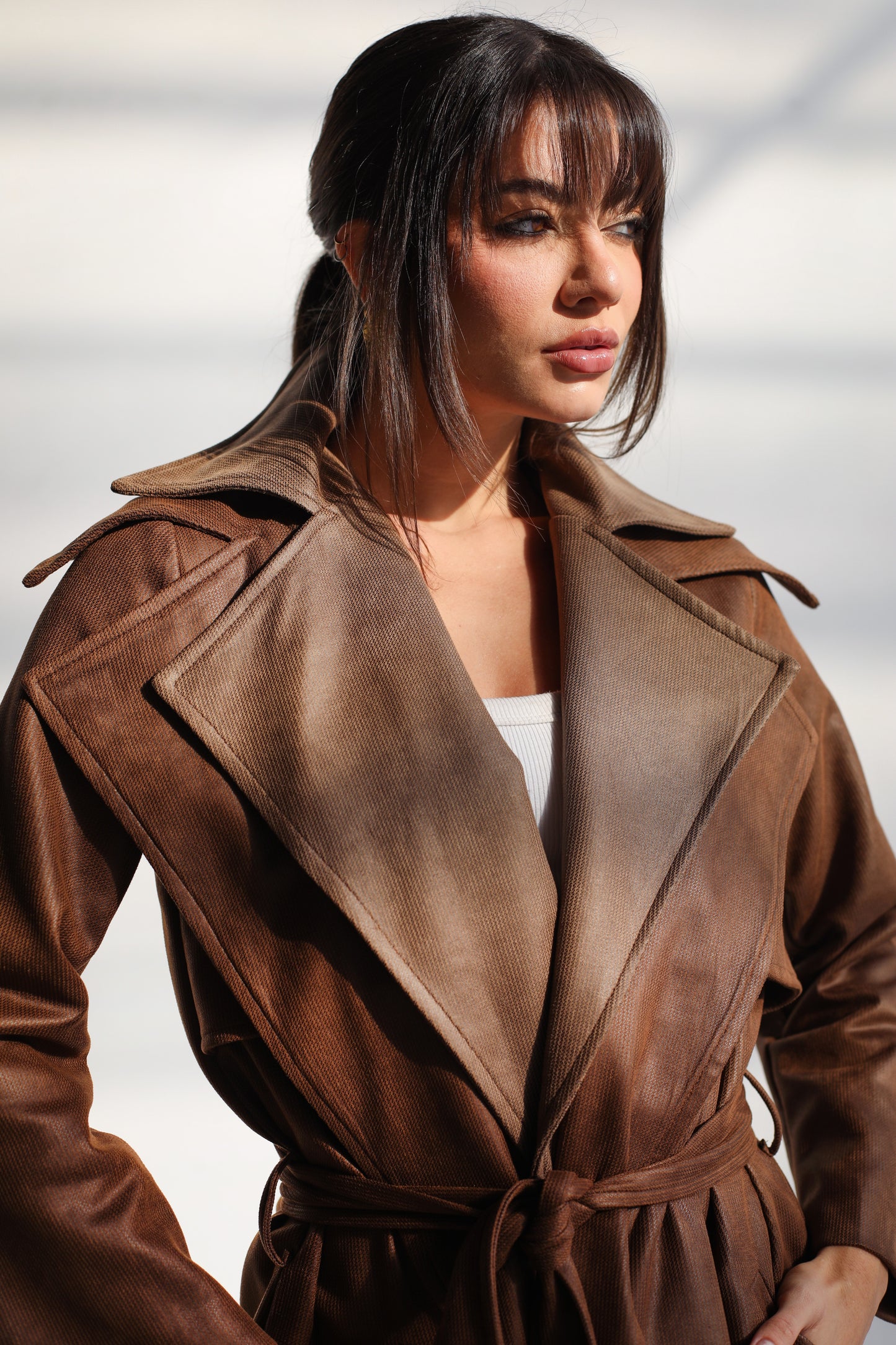 Warmer Winter Suede Coat - Cappuccino Brown