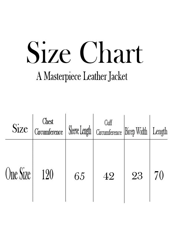 A masterpiece leather jacket - Purple